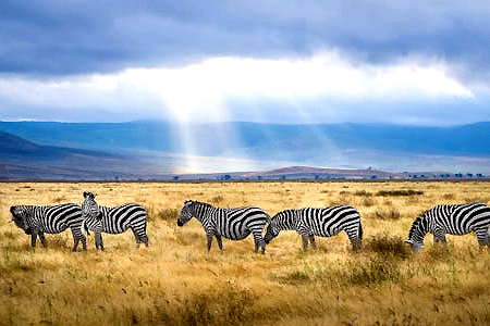 5-Days-Kenya-Luxury-Explore