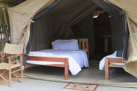 6 Days Budget Safari