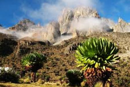 Mount Kenya climb 6