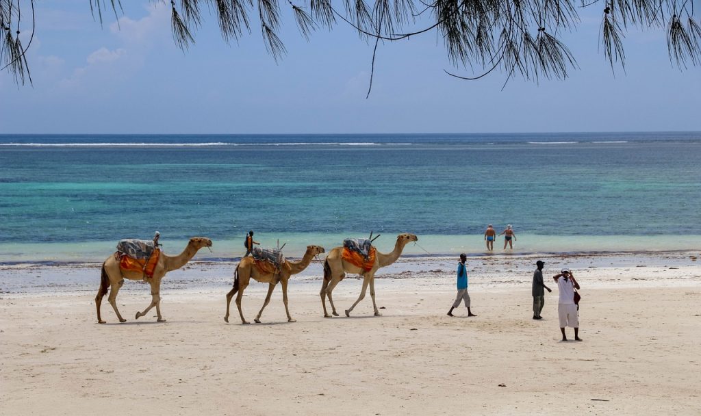 7 Days 6 Nights Diani Beach Holiday Safari