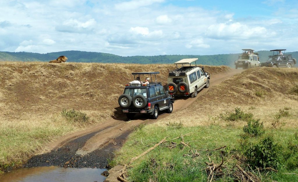 7 Days 6 Nights Masai Mara, Serengeti, Ngorongoro, and Amboseli
