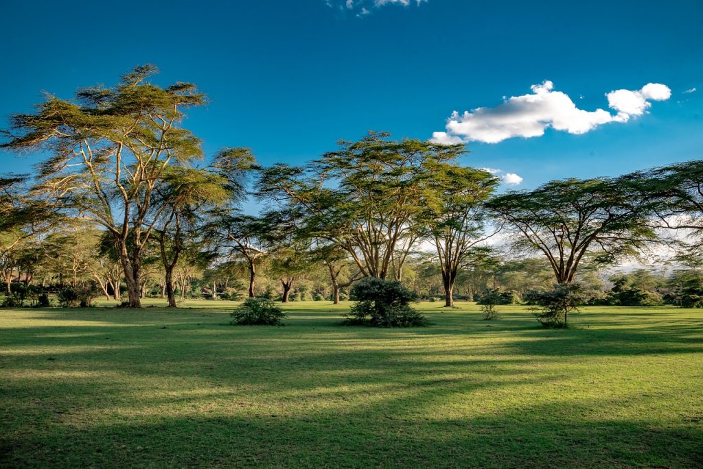 8 Days 7 Nights Kenya Safari