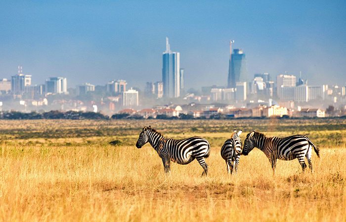 Nairobi-National-Park-nairobi excursion