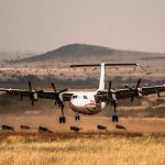10 Days Kenya Flyin Authentic Wilderness