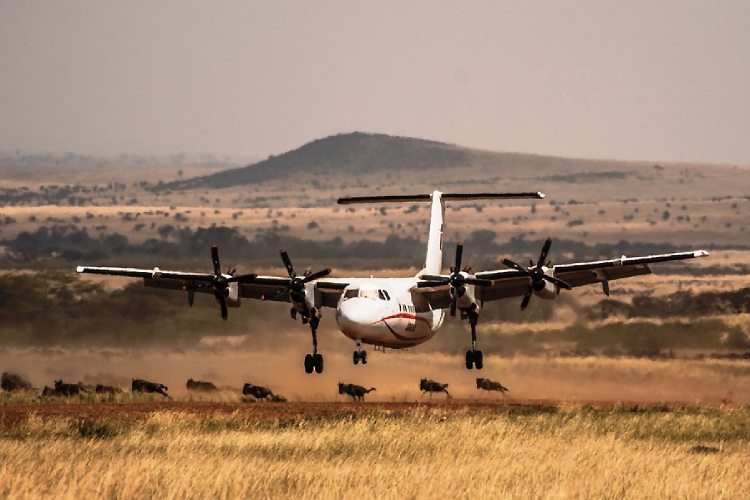 10 Days Kenya Flyin Authentic Wilderness