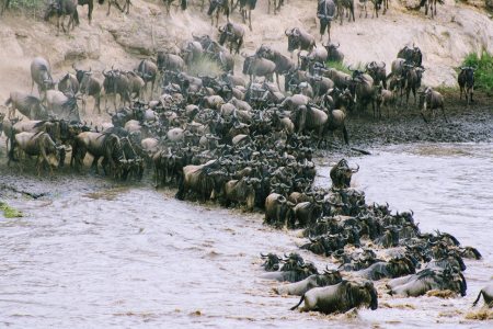 12 Days Kenya Luxury Safaris