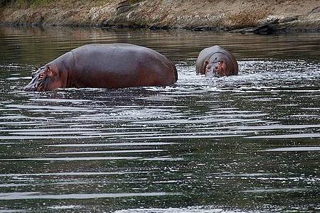 4 Days Nakuru Mara Nairobi
