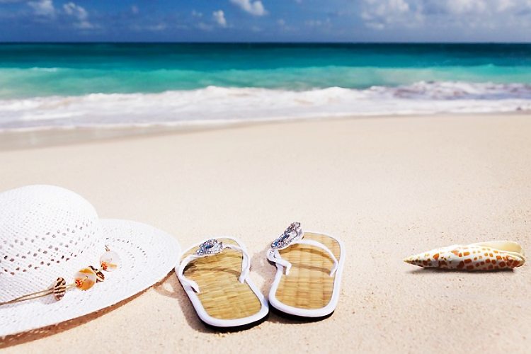 14 Days Safari & Beach Holiday