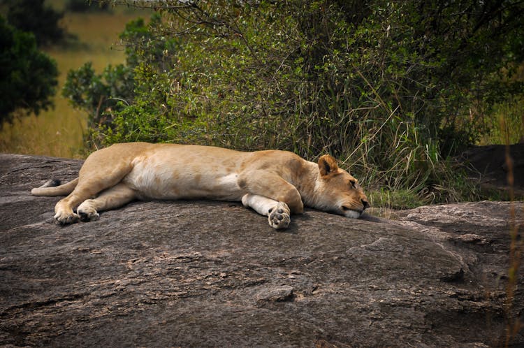 8 Days Family Safari Wildlife Discovery (3)