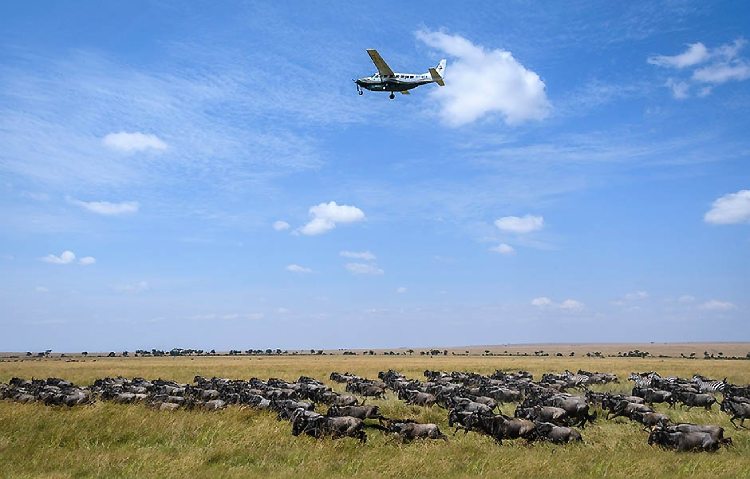 9 Days Kenya flyin Wild Encounters (1)